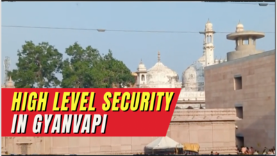 Watch: Tight security beefed up as ASI resumes scientific survey of Gyanvapi mosque in Varanasi