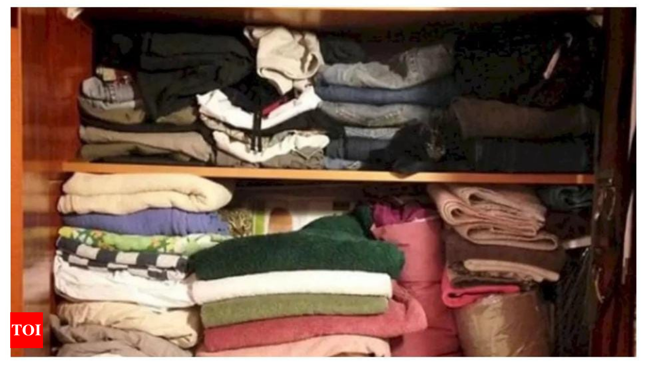 Optical Illusion: Can You Spot the Cat in This Picture of Crammed