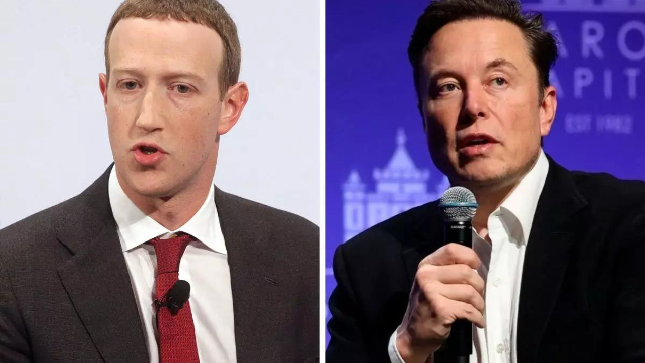 Mark Zuckerberg-Elon Musk Cage Fight To Have Jiu-Jitsu Face-Off? This Viral  Video Hints So - News18