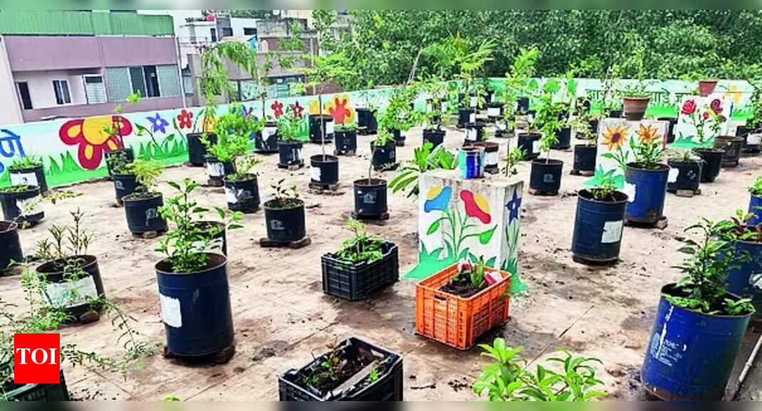 Terrace Garden Hadapsar Ward Office Goes Green With Terrace Garden