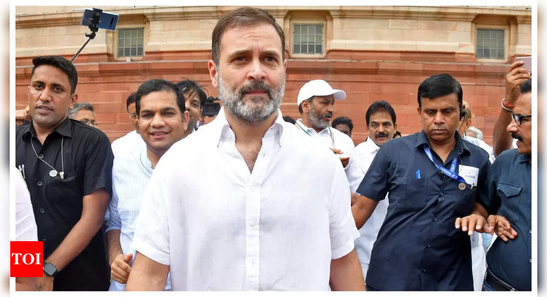 Rahul Gandhi Lok Sabha Membership: Rahul Gandhi Back As MP As Lok Sabha ...