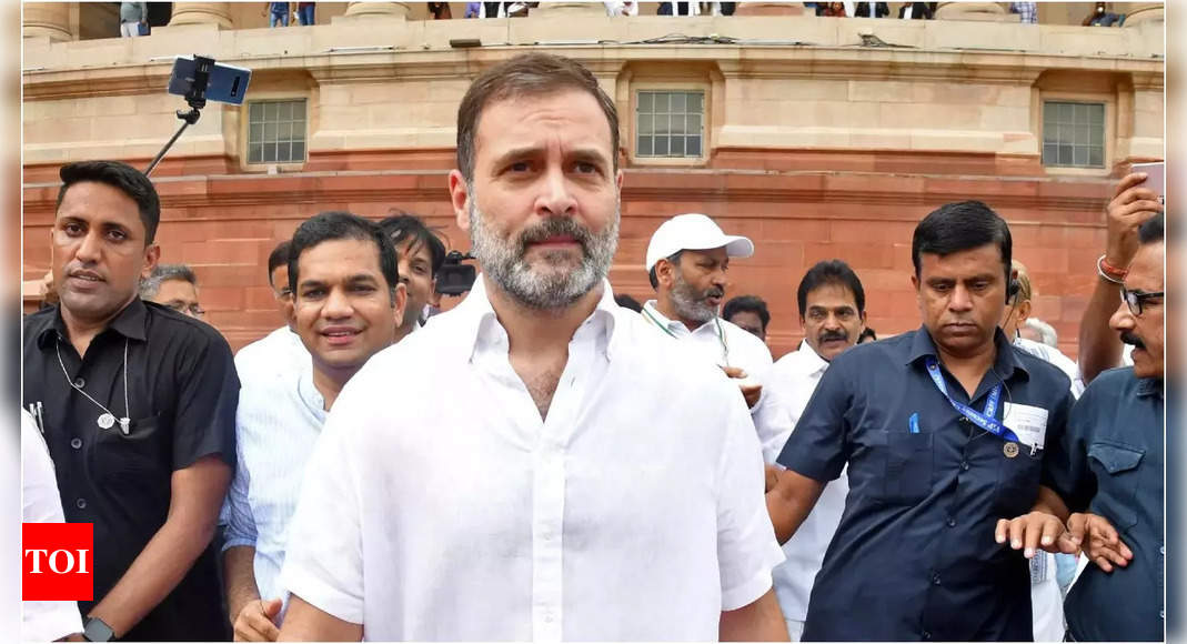 Rahul Gandhi Lok Sabha News After Months Rahul Gandhi Returns As Mp