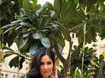 Katrina Kaif and her six yards of grace in dreamy sarees