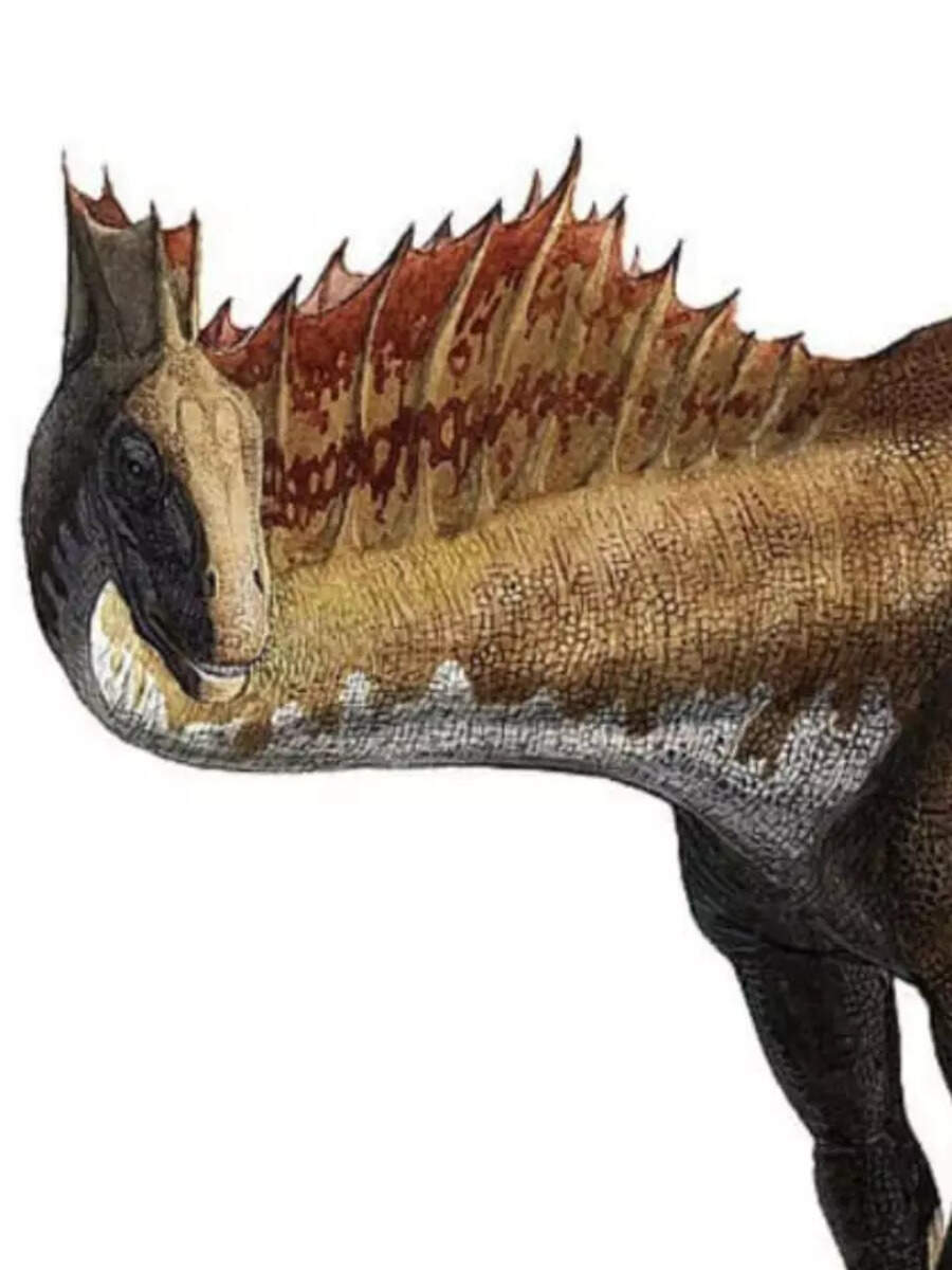 Dinosaur Fossils in Rajasthan Did you know Thar desert was home to