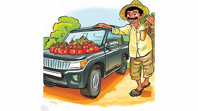 Karnataka farmer earns 40 lakhs by selling tomatoes, purchases SUV