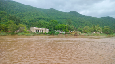 Andhra Pradesh: Tribal villagers of Talluru seek government ...