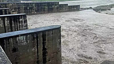 Proposed Hathnikund dam can stop Haryana water war with Delhi