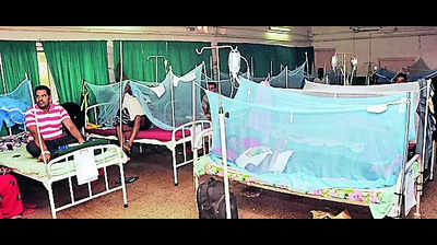 Dengue cases touch 124 in East S’bhum