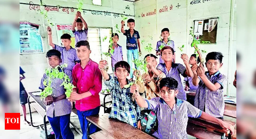 Kitchen Garden Too Dear, But This Village Is Atmanirbhar In Tomatoes