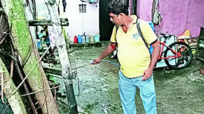 100 dengue cases in South Dum Dum; 149 suffer in BMC areas