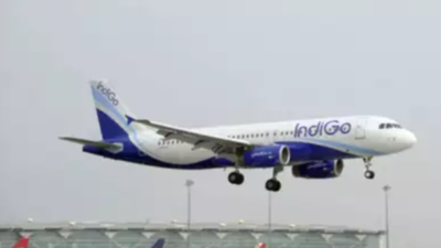 IndiGo starts flights between Delhi and Tbilisi