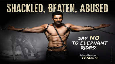 Shackled, Beaten and Abused: John Abraham makes a statement in PETA India's latest campaign