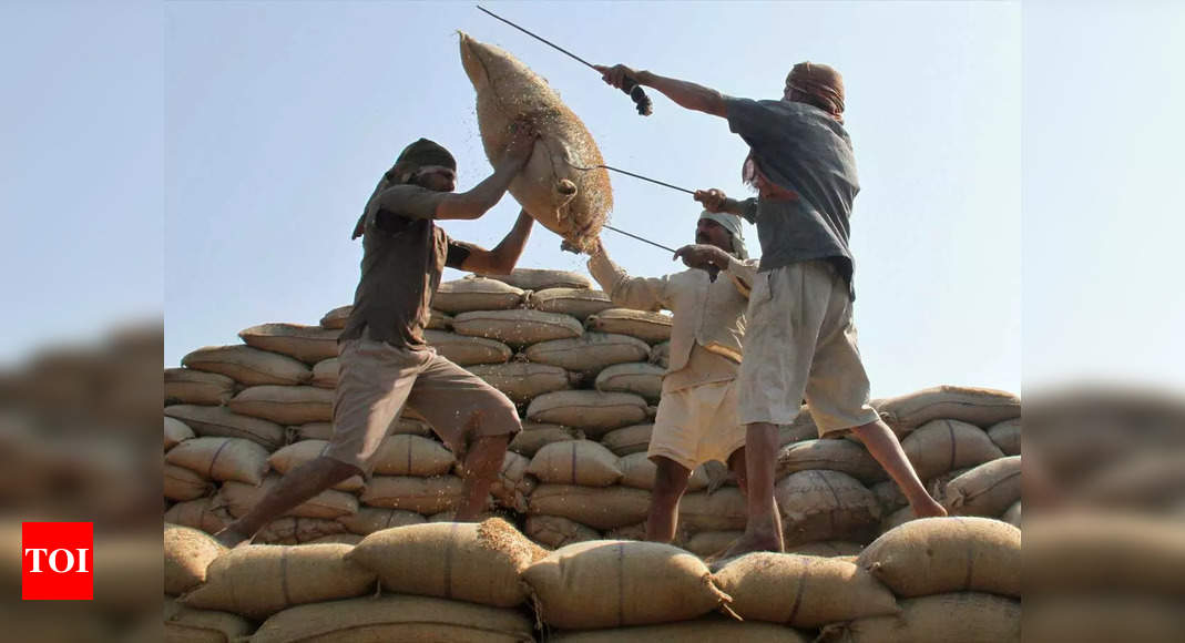 Govt to sell additional 50 lakh tons wheat, 25 lakh tons rice in open market – Times of India