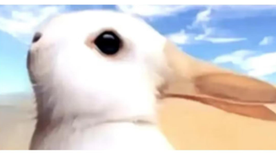 Duck or a Bunny? What you see in this picture reveals your personality traits