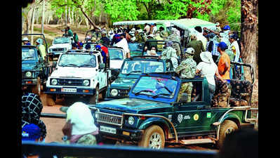 Phase out old safari vehicles: NTCA asks tiger reserves
