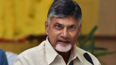 Andhra clashes: Chandrababu Naidu faces attempt to murder charge