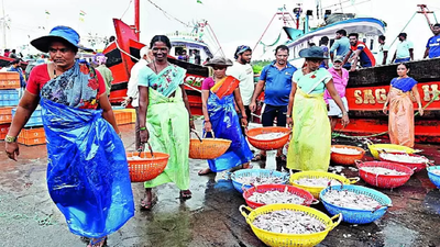 Monsoon ban ends, seafood lovers get fresh fish