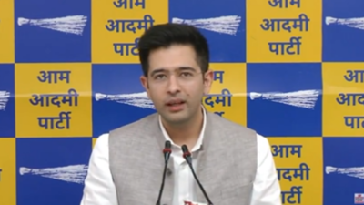 BJP trying suppress my voice: Raghav Chadha on breach of privilege complaints against him