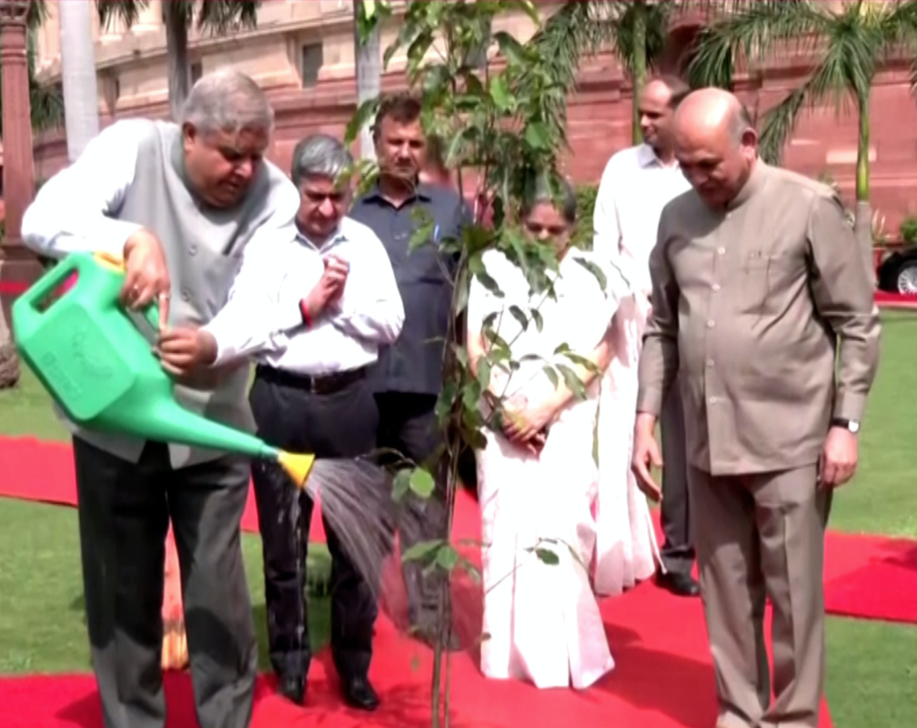 
VP Jagdeep Dhankhar plants sapling in Parliament premises to mark one year in office
