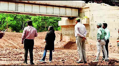 Rlys completes Elephant underpass