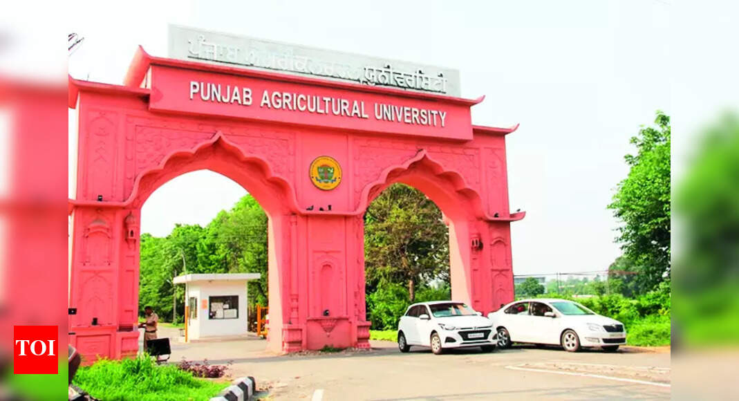 Sexual Harassment: Pau Constitutes Sexual Harassment Committee | Ludhiana News - Vimarsana News