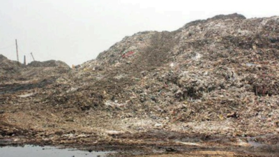 Waste near schools: NGT seeks replies from DM, corpn and pollution board