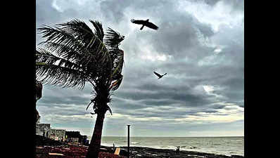 ‘El Nino effect on SW monsoon in state’