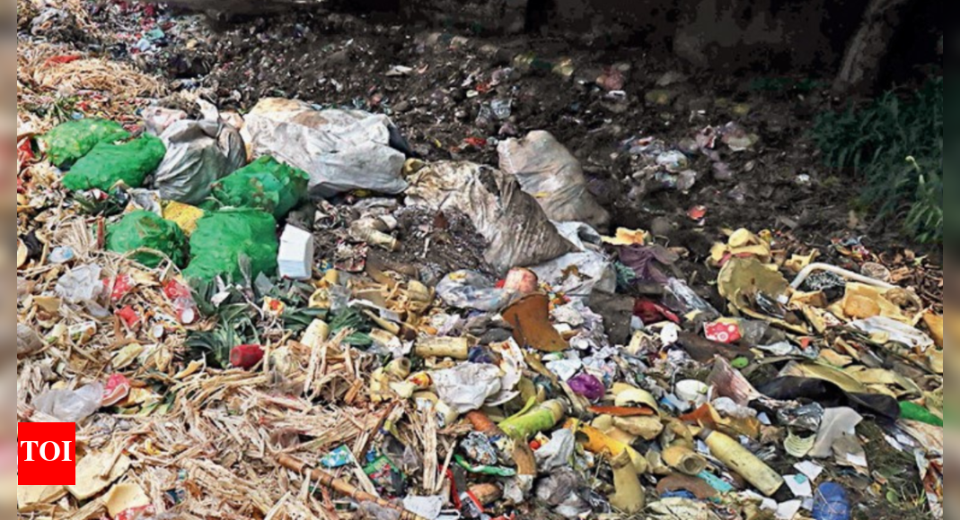 Garbage Trouble: Doorstep Collection Only ‘once In 3-4 Days’, Garbage ...