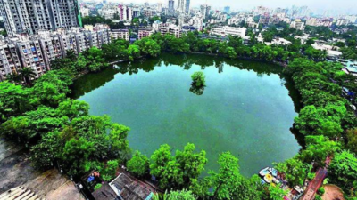 Solar Cap at Rs 400/number in Thane