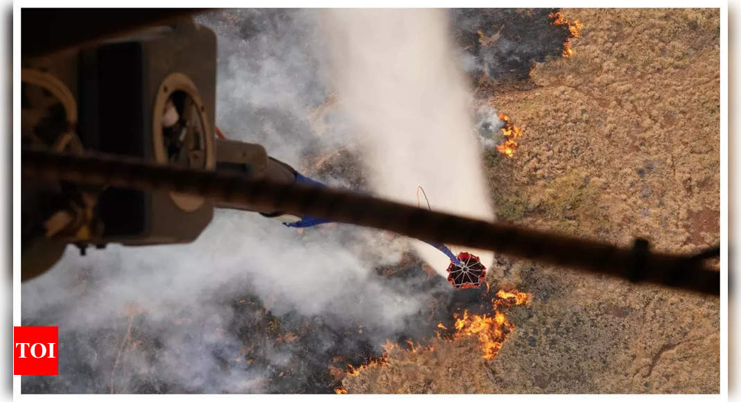 Hawaii Wildfire: Like a warzone: Hawaii’s fleeing tourists tell of escape