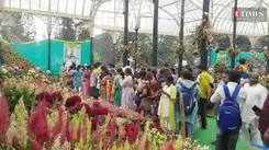 Glimpses from the indepedence Day flower show at Lal bagh