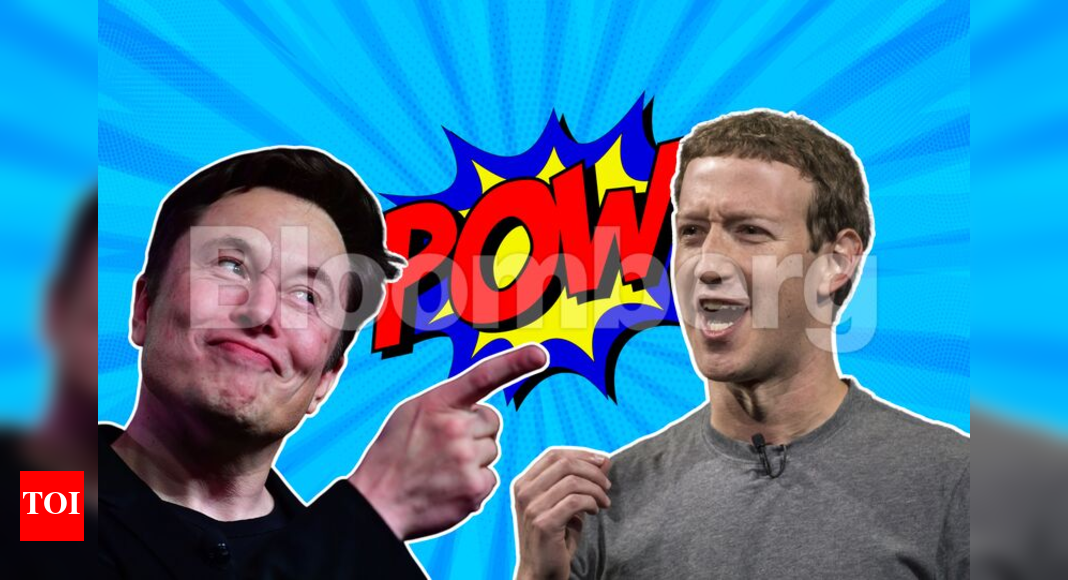 Elon Musk vs Mark Zuckerberg: 'Rich fight different from you and me