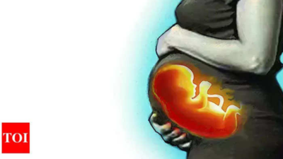 IIT & ICMR make devices that mimic human placenta