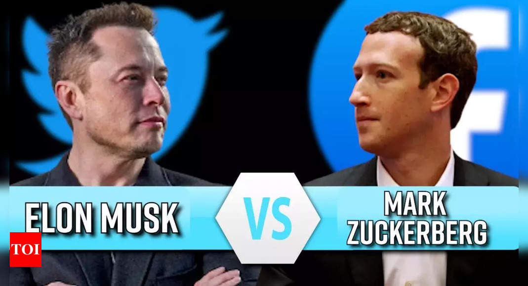 Musk: “I’m ready”: Mark Zuckerberg’s message to Elon Musk on the ‘big’ fight