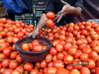 Nepal ready to supply tomatoes to India; seeks easier access to market
