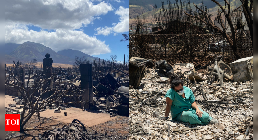 Maui Wildfire Death Toll Hits 80 As Questions Raised Over Warnings ...