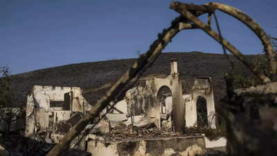 Death Toll Rises To 80 In Maui Wildfires As Survivors Begin Returning ...