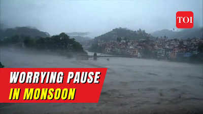 Monsoon takes pause in August after July deluge, El Nino may further weaken rains