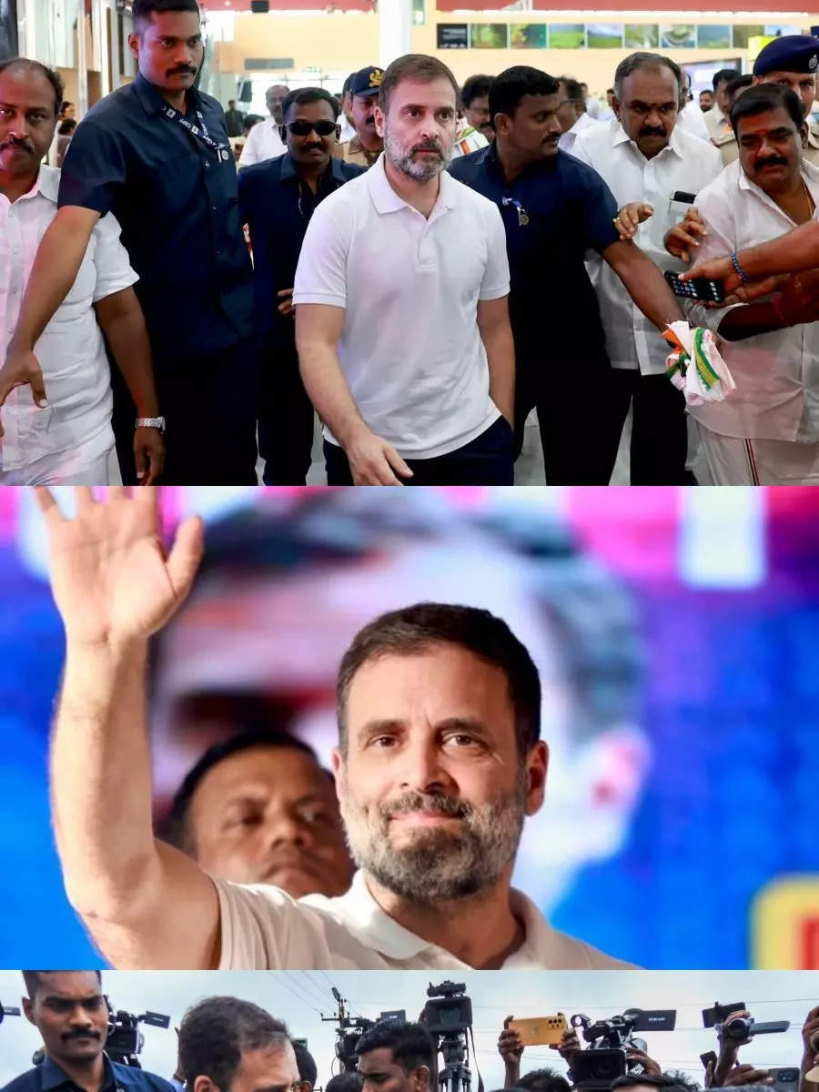 Rahul Gandhi Gets Rousing Welcome On His Wayanad Visit | Times Of India