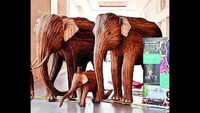 Elephant conclave delves into challenges in securing corridors