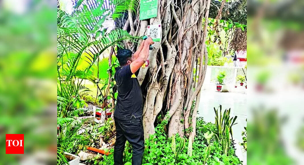Green Cover, Pune Cantonment, Southern Command, Indian Army ‘tiranga