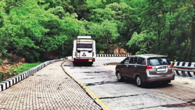Tirupati temple imposes curbs on ghat roads & pedestrian routes