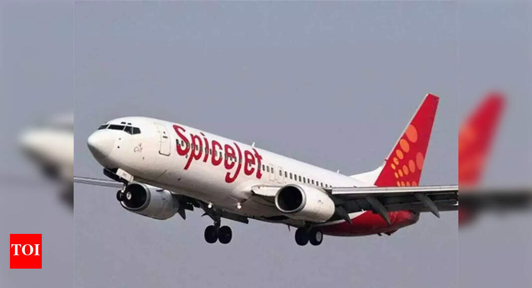 SpiceJet reports Rs 205 crore profit in Q1 FY24 – Times of India