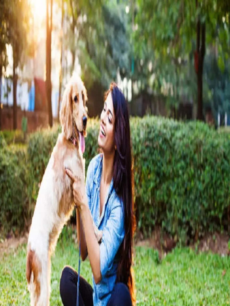8 Vastu Tips to Follow When Keeping Pets at Home Times Now