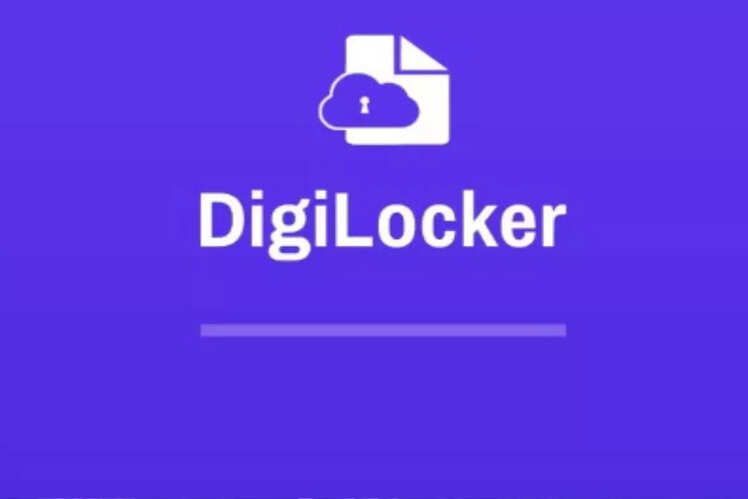 DigiLocker visual data 3