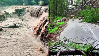 Landslides cut off Morni, Ghaggar bridge in danger