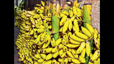 Banana prices touch Rs 100/kg in Bengaluru as festive season draws near