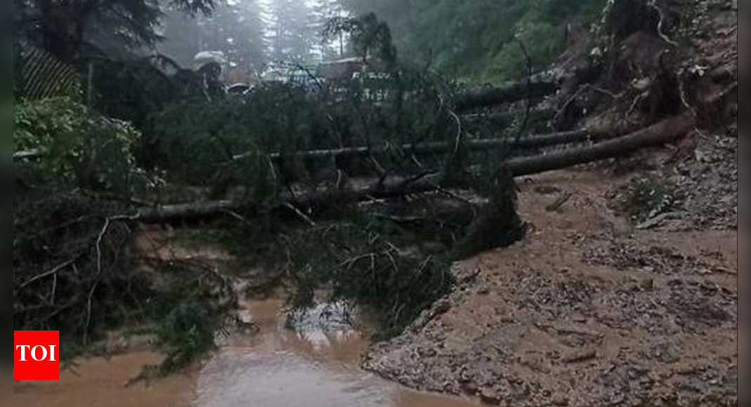 50 dead killed as cloudburts and landslides batter Himachal Pradesh ...