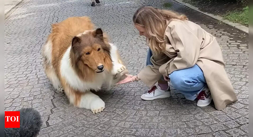 Japanese man, who spent Rs 11.5 lakhs to look like a dog, doesn't want ...