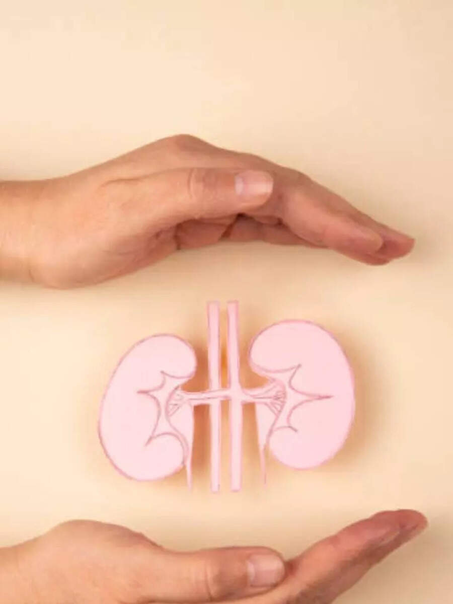 9 Vegan Superfoods for Healthy Kidneys Times Now